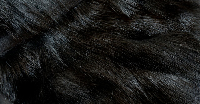 Black fur swatch up close